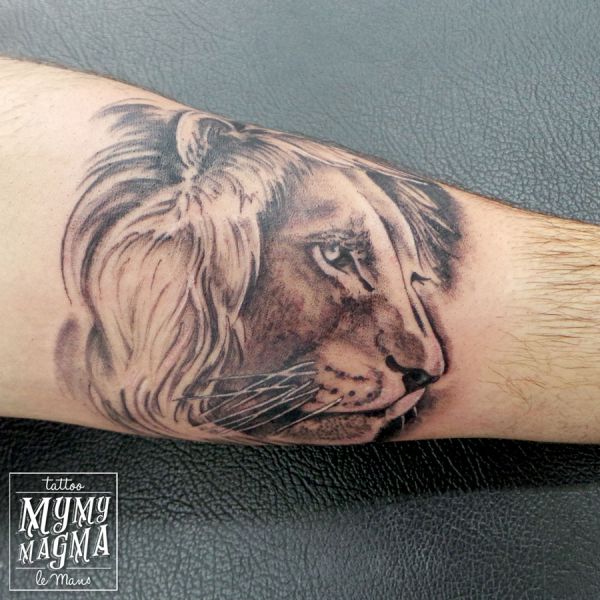 Tatouage d un portrait de lion