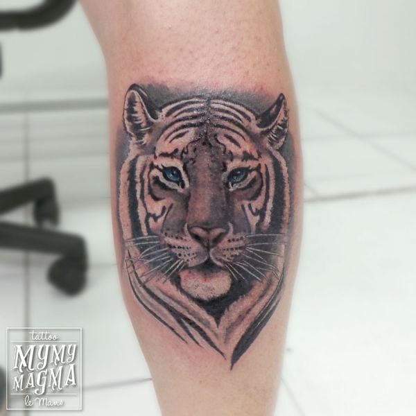 Tatouage de portrait d un tigre de sibérie
